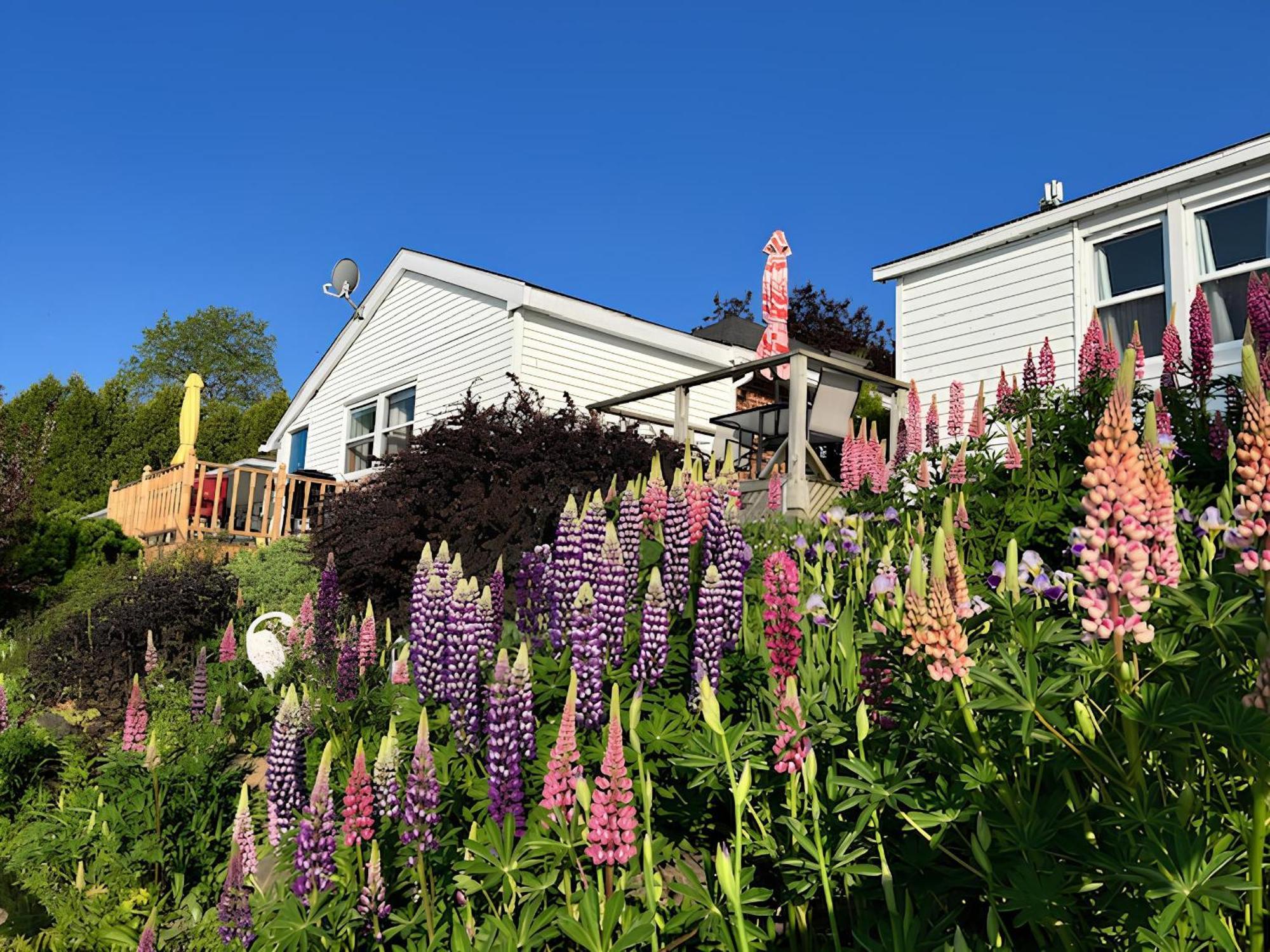 Dewar'S Inn And Cottages Prescott Exterior foto